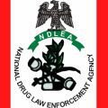 national-drug-law-enforcement-agency
