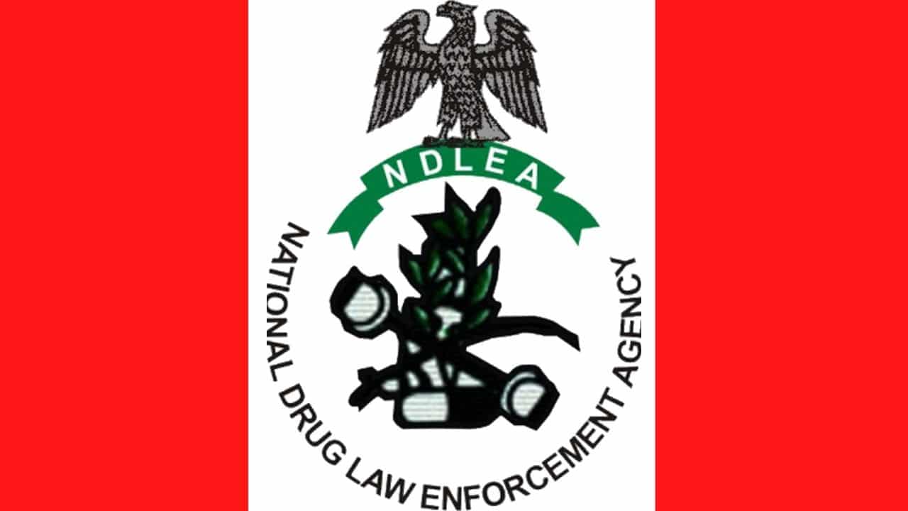 NDLEA Uncovers Industrial-Scale Drug Operation
